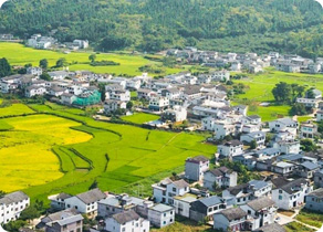 乡村振兴领域